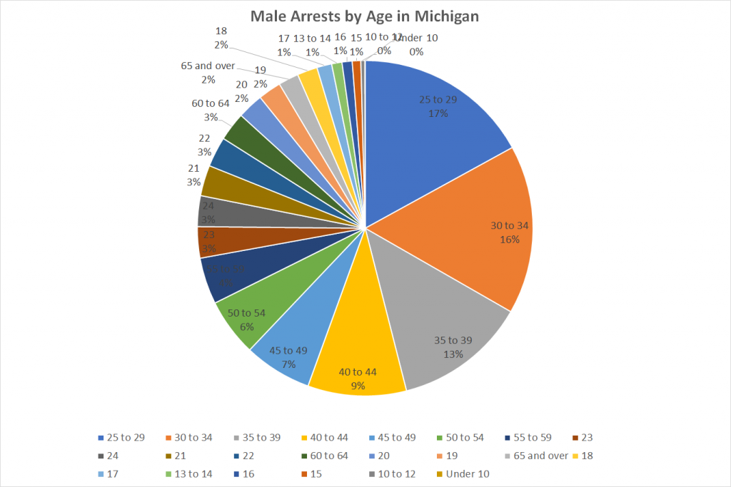 Male Arrests by Age in Michigan